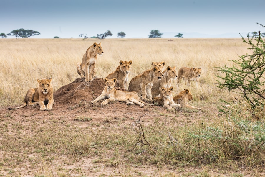Photo AI impacted leaders manage